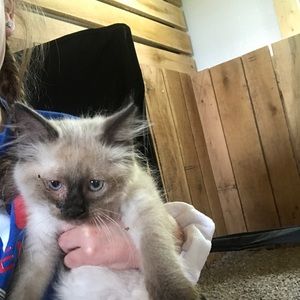 Meet your Posher, Aubrey